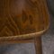 Dining Chairs from Ton, 1950s, Set of 4, Image 7