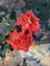Gennady Bernadsky, Roses et Fruits, Peinture à l'Huile 5