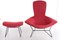 Model Bird Armchair with Ottoman by Harry Bertoia for Knoll, 1970s, Set of 2 3