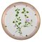 Dinner Plate in Flora Danica Style, Image 1