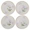 Antique Royal Copenhagen Plates in Porcelain with Iris Flowers, Set of 4 1