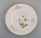 Antique Royal Copenhagen Plates in Porcelain with Iris Flowers, Set of 4 3