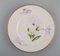 Assiettes Royal Copenhagen Antiques en Porcelaine avec Fleurs d'Iris, Set de 4 3