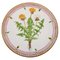 Dinner Plate in Flora Danica Style 1