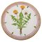 Dinner Plate in Flora Danica Style, Image 1