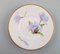 Antique Unique Royal Copenhagen Porcelain Plates with Iris Flowers, Set of 12 3