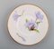 Platos Royal Copenhagen antiguos de porcelana con flores de iris. Juego de 12, Imagen 3