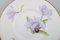 Antique Unique Royal Copenhagen Porcelain Plates with Iris Flowers, Set of 12 4