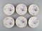 Antique Unique Royal Copenhagen Porcelain Plates with Iris Flowers, Set of 12, Image 2