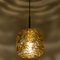 Amber Murano Glass Pendant Light in the style of Gio Ponti, 1970s 5