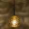 Amber Murano Glass Pendant Light in the style of Gio Ponti, 1970s 4