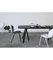 Large Altay Table by Patricia Urquiola 6
