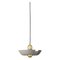 Small Taupe and Gold Pendant Lamp 1