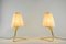 Table Lamps with Fabric Shades by Rupert Nikoll, Vienna, 1950s, Set of 2 3