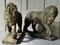 Medici Stone Lions, Set of 2 7