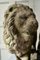 Leoni Medici in pietra, set di 2, Immagine 10