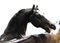 Französische Miniaturfigur aus zwei Pferden aus patinierter Bronze von PJ Mene 4