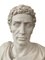 Julius Caesar Bust Sculpture with Column, 20th Century 6