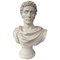 Sculpture Buste Julius Caesar, en Toge, 20ème Siècle 1