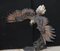 Large 20th Century Bronze Sculpture of an American Bald Eagle, Image 3