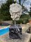 Escultura de busto de mármol del dios romano Neptuno del agua, siglo XX, Imagen 5