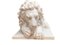 Große Löwenstatuen aus Marmor, 20. Jh., 2er Set 5