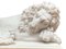Large Marble Lion Statues, 20th Century, Set of 2, Image 4