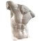 Estatua de torso masculino, siglo XX, Imagen 1