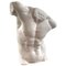 Male Torso Statue, 20th Century 1