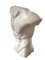 Estatua de torso masculino, siglo XX, Imagen 5