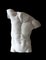 Estatua de torso masculino, siglo XX, Imagen 2