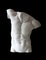Statua a forma di torso maschile, XX secolo, Immagine 2