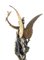 19th-Century French Spelter Statue of Victory, 1900s, Image 9