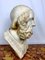 Busto de mármol del antiguo poeta griego Homero, Imagen 3