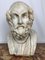 Busto de mármol del antiguo poeta griego Homero, Imagen 6