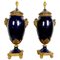 20th-Century French Louis XVI Style Blue Sèvres Porcelain Lamps, Set of 2 1