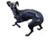 Große Bronze Greyhounds in Dominance Stance, 1960er, 2er Set 5