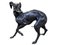 Große Bronze Greyhounds in Dominance Stance, 1960er, 2er Set 3