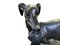 Große Bronze Greyhounds in Dominance Stance, 1960er, 2er Set 13