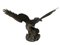 Antique Japanese Bronze Eagle from the Meiji Period, 19th Century, Image 11