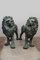 Life-Sized Bronze Lion Sculptures, Set of 2 1