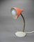 Coral Bedside Lamp with Gooseneck, Germany, 1950s 4