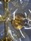 Lampada da soffitto Sputnik in ottone con 12 pistoni in vetro fumé, Germania, anni '60, Immagine 16