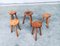 Brutalist Handcrafted Oak Tripod Stools, France, 1930s, Set of 5 1