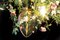 Flower Power Romantischer Roses Kronleuchter mit Kristallglas Lampen von Vgnewtrend, Italien 4