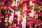 Flower Power Fuchsia Cascade Square Kronleuchter in Fuchsia von Vgnewtrend, Italien 3