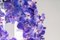 Großer runder Flower Power Vanda Kronleuchter von Vgnewtrend, Italien 3