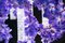 Großer runder Flower Power Vanda Kronleuchter von Vgnewtrend, Italien 7