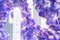 Großer runder Flower Power Vanda Kronleuchter von Vgnewtrend, Italien 4