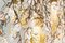 Großer Runder Flower Power Kronleuchter in Rosa-Creme mit 24 Karat Goldpfeifen von Vgnewtrend, Italien 7
